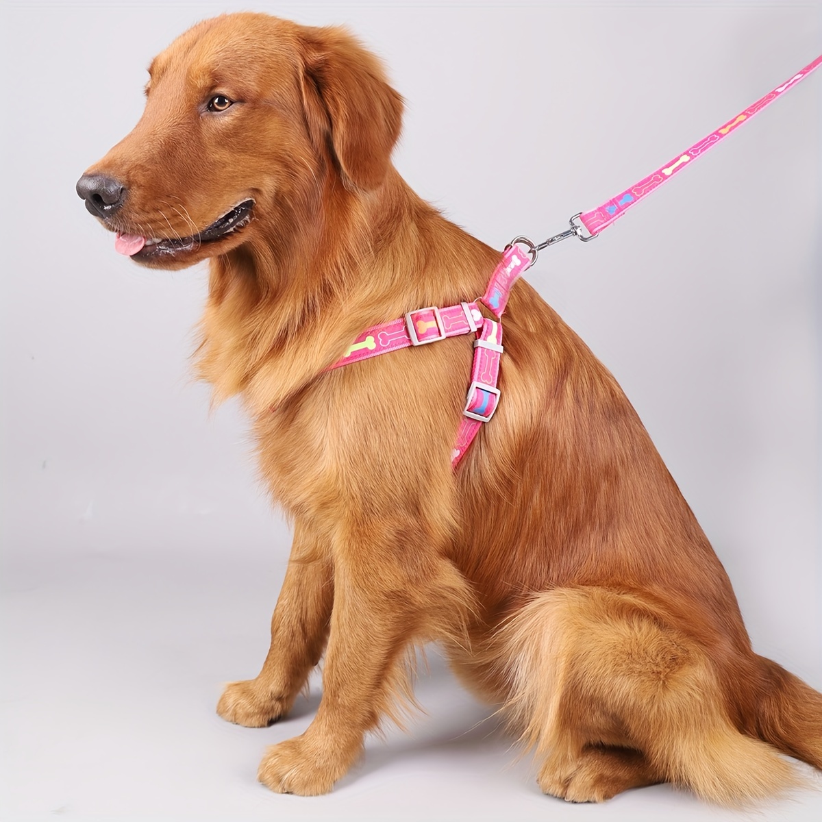 A Stylish Bone-patterned Chest and Back Triangle Harness Set with a Leash, Suitable for Both Indoor and Outdoor Use