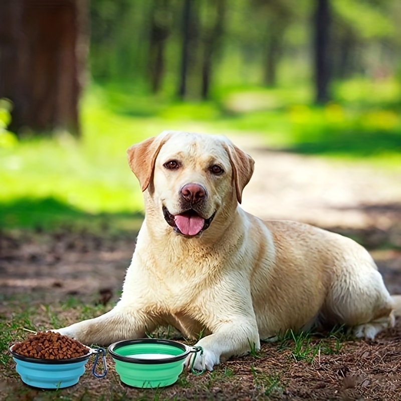 1pc/2pcs Dog Bowl, Pet Foldable Bowl with Lid, Dog Travel Bowl, Portable Foldable Cat Water Bowl, Suitable for Pet Walking, Parking, Camping, Light Blue and Green