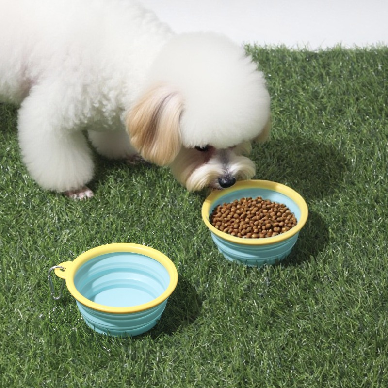 Portable Pet Folding Bowl for Cats and Dogs for Outdoor Travel Food Water Bowl Collapsible Leash Buckle Feeding Container Hiking Applicable