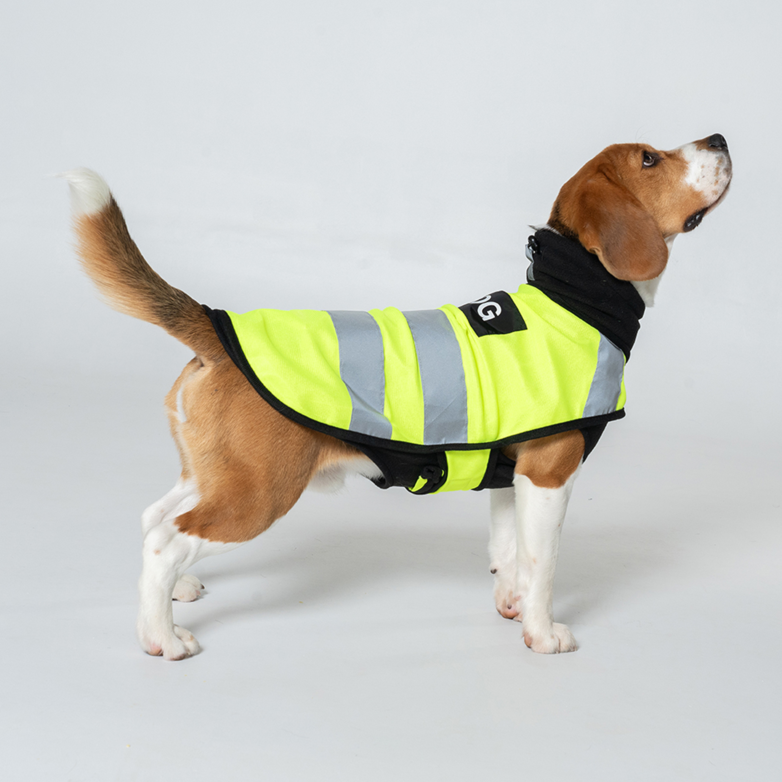 Reflective Dog Walking Vest, Dog Coat, Ensures Your Pet'S Safety While Keeping Them Warm, Suitable for Use in Spring, Autumn, And Winter