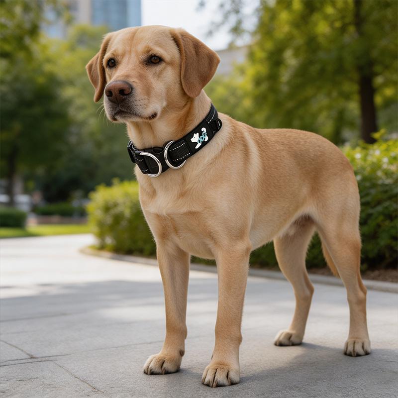1pc New Anti-Pull Pet Collar, Made of High-strength, Tear-resistant Material with a Comfortable Inner Lining and Reflective Strips. Features an Adjustable Size and Durable Polyester Construction. Suitable for Small to Medium-sized Dogs - Image 2