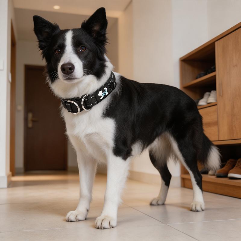 1pc New Anti-Pull Pet Collar, Made of High-strength, Tear-resistant Material with a Comfortable Inner Lining and Reflective Strips. Features an Adjustable Size and Durable Polyester Construction. Suitable for Small to Medium-sized Dogs